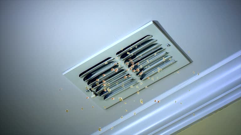 Best Ductwork Cleaning Services  in Lawson, MO