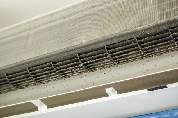 Best Air Duct Cleaning Near Me  in Lawson, MO